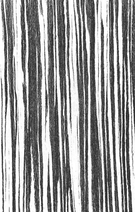 Wood Textures Black White Stripes Background Eps8 Vector Wood Grain