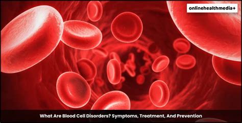 What Are Blood Cell Disorders Symptoms Treatment And Prevention