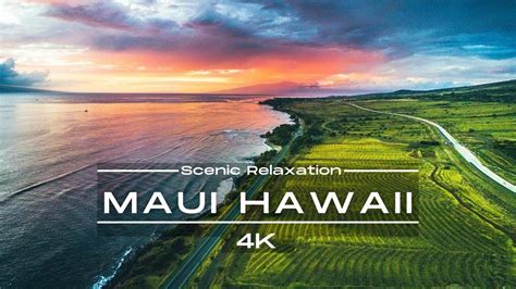 Maui Island Hawaii 4k Youtube