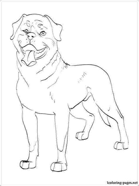 Https://wstravely.com/coloring Page/adult Realistic Puppy Rottweiler Coloring Pages