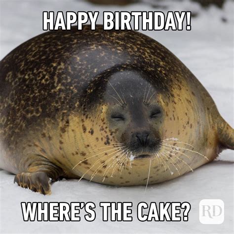 Happy Birthday Meme Cake Happy Birthday Memes