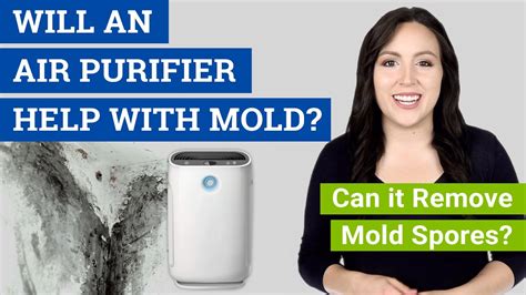 Will An Air Purifier Help With Mold Can It Remove Mold Spores Youtube