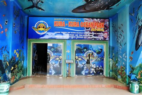 Kura Kura Raksasa Ocean Park Jepara Indonesia Kaya