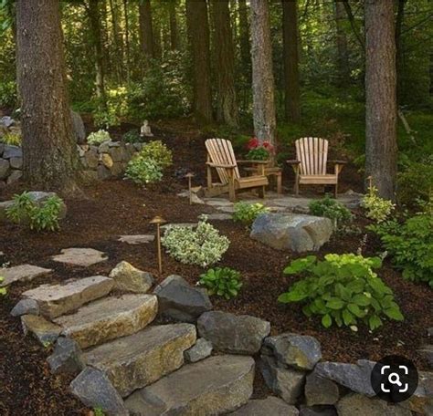 Spot To Create In The Woods Wooded Backyard Landscape Backyard