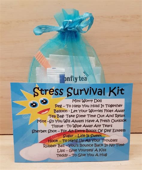 Stress Survival Kit A Unique Fun Novelty T Secret Santa Other