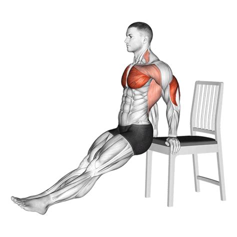 Dips Sur Une Chaise Comment Muscler Ses Triceps Avec Les Dips Sur Une