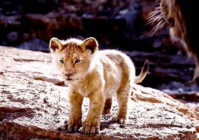 Roar Lion Roaring Bloody Renewed Trademark