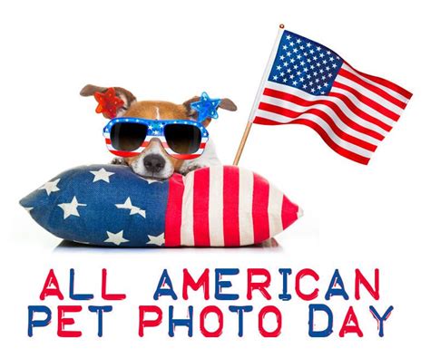 July 11 Is All American Pet Photo Day Pets Pet Day Photo