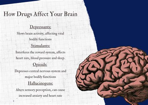 Your Brain On Drugs How The Damage Is Done And How To Undo It