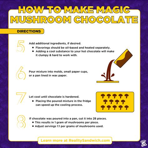 Magic Mushroom Chocolate Recipes Reality Sandwich