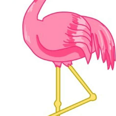 Download High Quality Flamingo Clipart Sunglasses Transparent Png