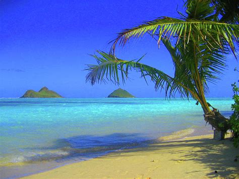 Lanikai Beach Oahu Photograph By Srettig Fine Art America