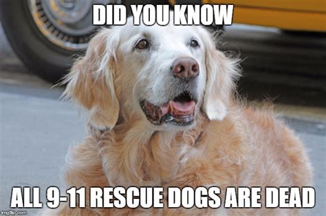 Image Tagged In Every 911 Rescue Dog Is Dead Imgflip
