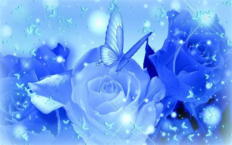 Blue Rose Desktop Wallpapers In 2020 Blue Roses Wallpaper Rose