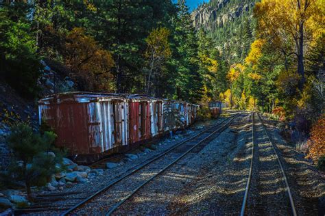 Free Images Tree Forest Track Railroad Train Vehicle Scenic