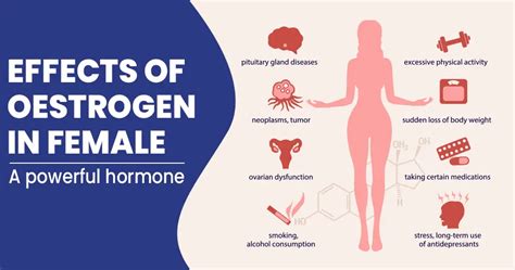 Effects Of Oestrogen In Female Health Tips