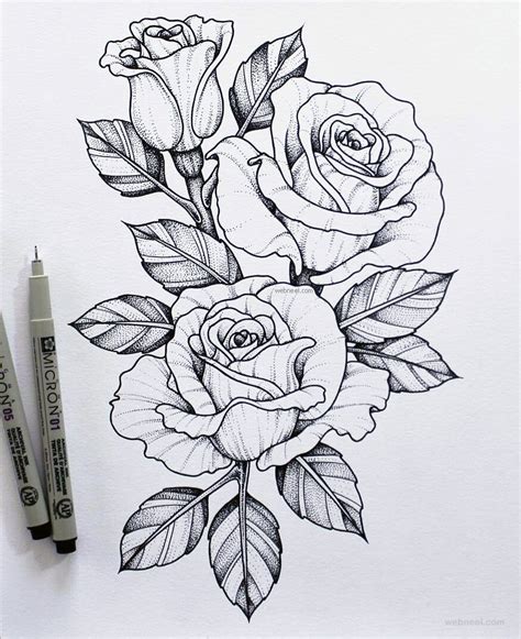 Unique Flower Sketches To Draw For Adult Sketch Art Drawing