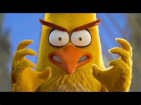 THE ANGRY BIRDS CHUCK Best Moments HD ANIMATION MOVIES YouTube