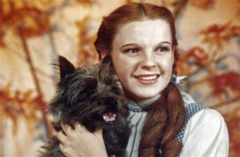 Judy Garland Molested By Wizard Of Oz Munchkins Ex Husband Claims