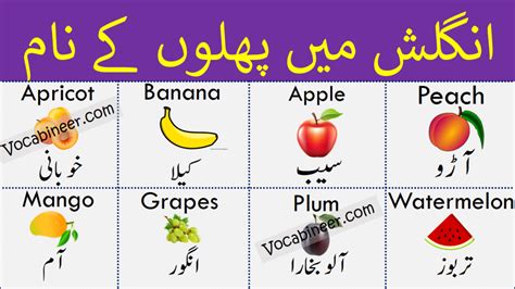 Fruit Names In Urdu And English With Pictures