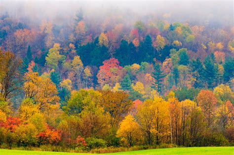 Vermont Usa Autumn Forest Maple Aspen Carbon Brief