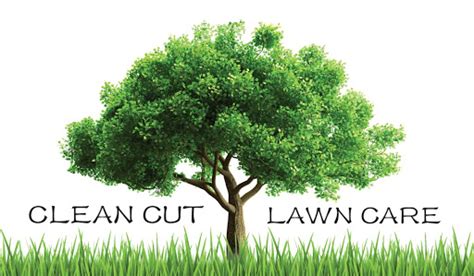 Clean Cut Lawn Care Lawn Care Service