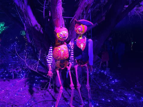 Halloween Fun For Kids at Pumpkin Nights in Austin - Austin Fun for Kids