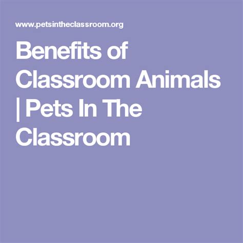 Benefits Of Classroom Animals Pets In The Classroom Education