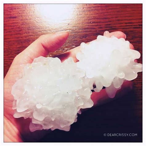 By the time the storm had passed, the zoo, which remained closed on tuesday due to the destruction, estimated. Hail Pictures: Baseball-Size Hail - Dear Crissy ...