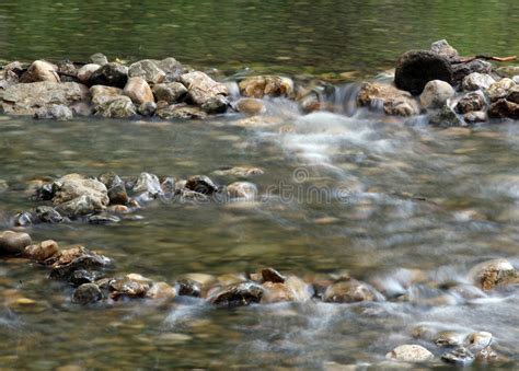 Stream Water With Rocky Bottom Stock Image Image Of River Stream
