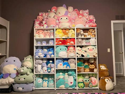 Squish Organization In 2021 Kawaii Room Cute Pillows Cool Fidget Toys