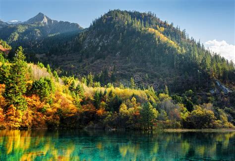 186 Five Flower Lake Jiuzhaigou Valley Photos Free And Royalty Free