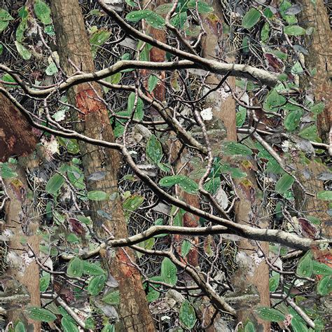 Hunting Camouflage Pattern 4 Digital Art By Jared Davies Fine Art America