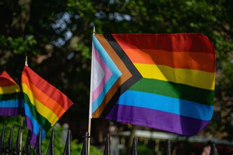 Here Are Lgbtq Pride Flags And What They Mean The Hill