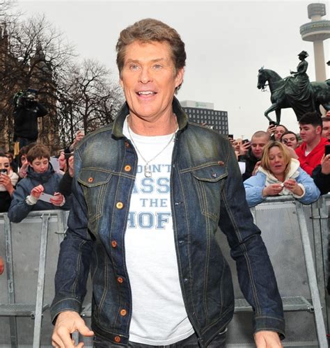 David Hasselhoff Who2