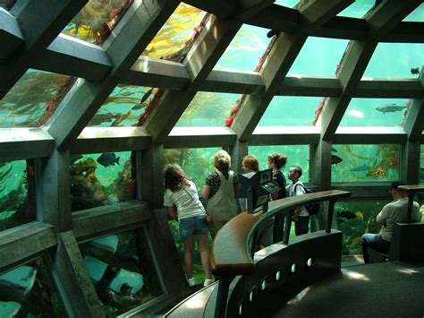 The Best Aquariums In The Us Red Tricycle Baltimore Aquarium