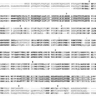 Alignment Of Deduced Amino Acid Sequences From The Subunit Of