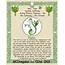 Celtic Tree Astrology  Ash Zodiac Signs