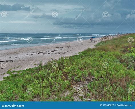 Canaveral National Seashore Dunes Stock Image Image Of Grass Tourism