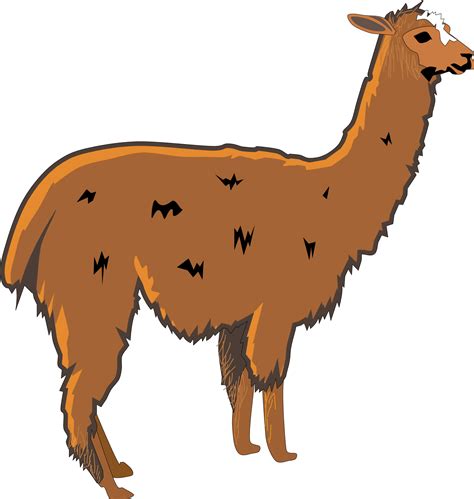 llama 1 PNG 307(K) | Clipart Panda - Free Clipart Images