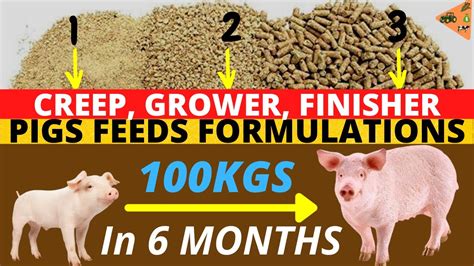 Pig Feed Formulation For Faster Pig Growth Creep Growers Finisher
