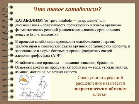 Как наладить метаболизм и похудеть после 40