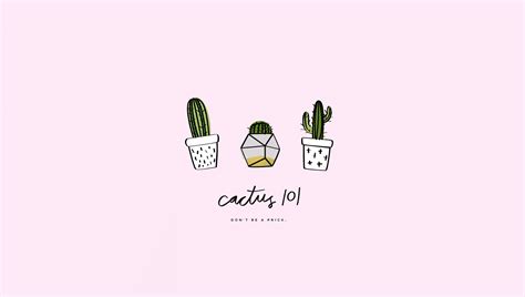 Free Download Cactus Wallpaper And Hd Images 1080p Free