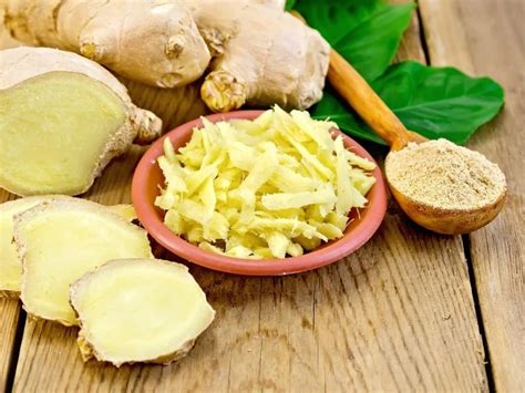 ginger substitute on the gas the art science and culture of food