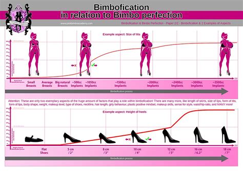 bimbo training “basic bimbo rules what is bimbofication shaping femininity” pink bimbo