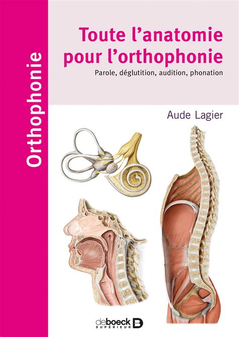 Toute L Anatomie Pour L Orthophonie De Boeck Sup Rieur