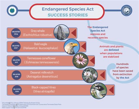 Endangered Species Act Success Stories Endangered Species Coalition