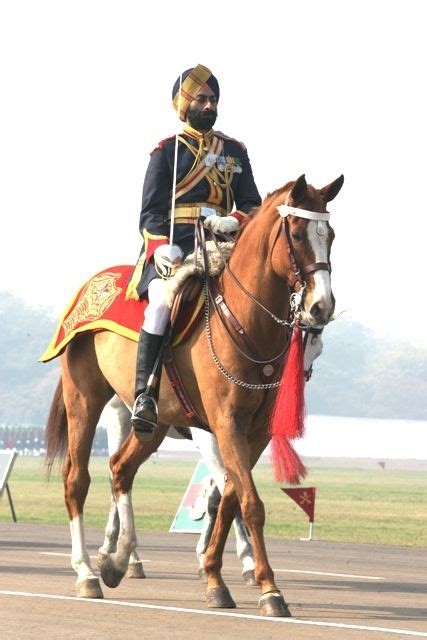 Buy, sell, or adopt horses in canada. Official Website of Indian Army | Indian army, Horses ...