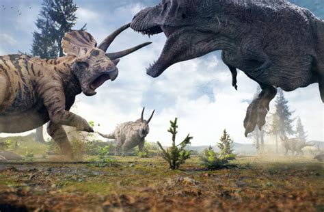 What Was The Most Dangerous Carnivorous Dinosaur Discover Magazine