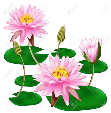 Pink Green Beautiful Flower Clipart 20 Free Cliparts Download Images
